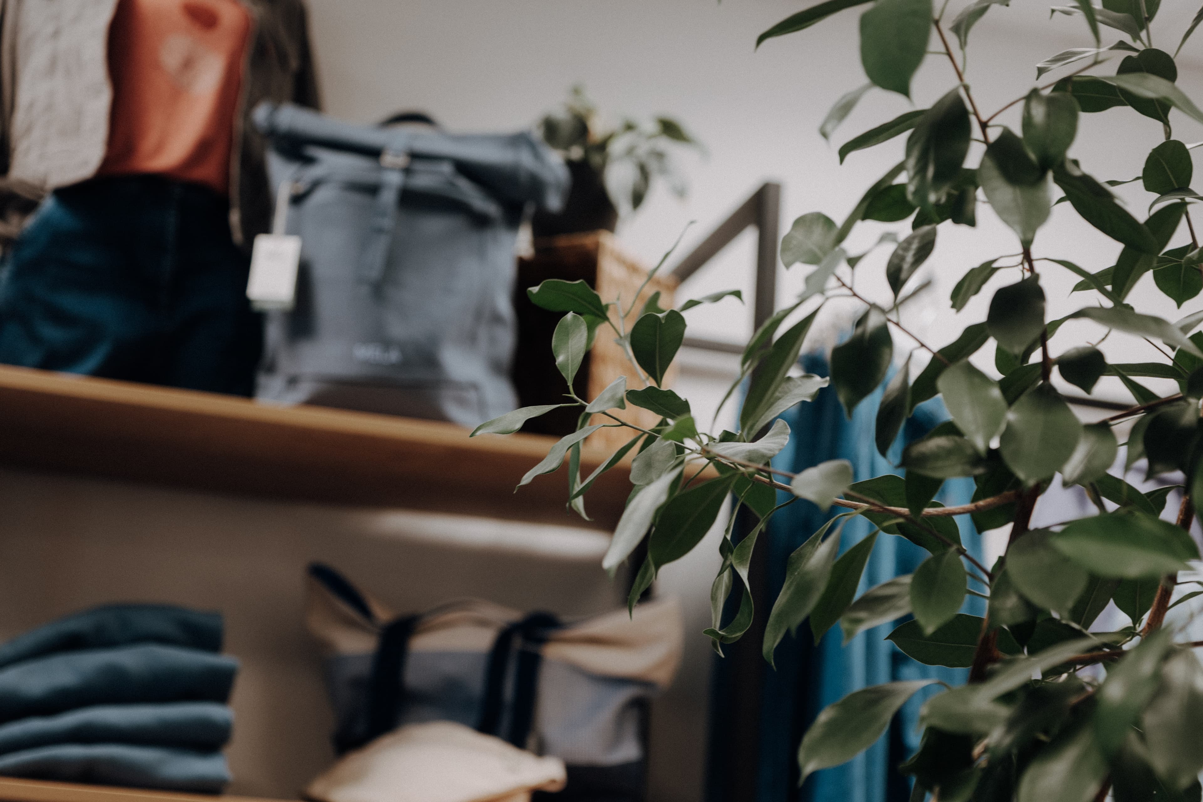 Hintergrundabbildung Endless und Evergreen Laden